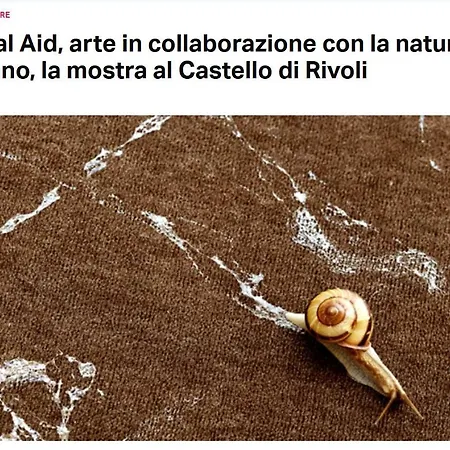 Apartmán La Casa Di Silvio Ai Giardini Reali Turín